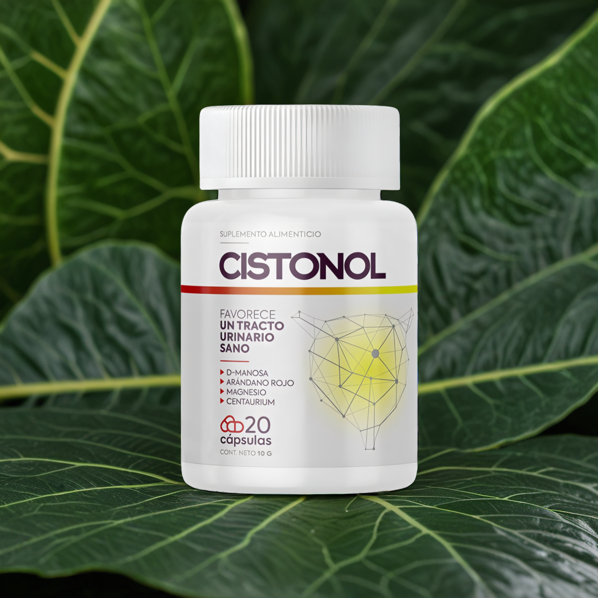Cistonol