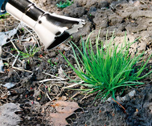 Weed Burner a 59,99€