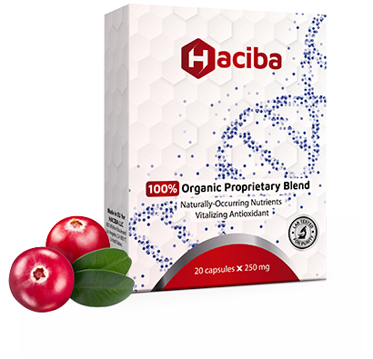 HACIBA KIDNEY SUPPORT